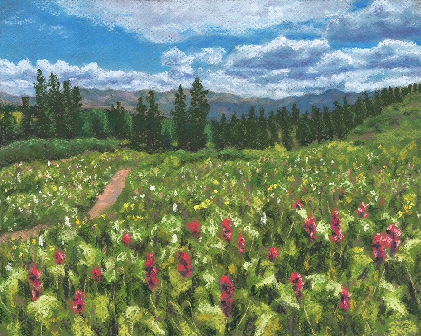 Wildflowers Hiking Engineer Mountain Colorado Fine Art Print